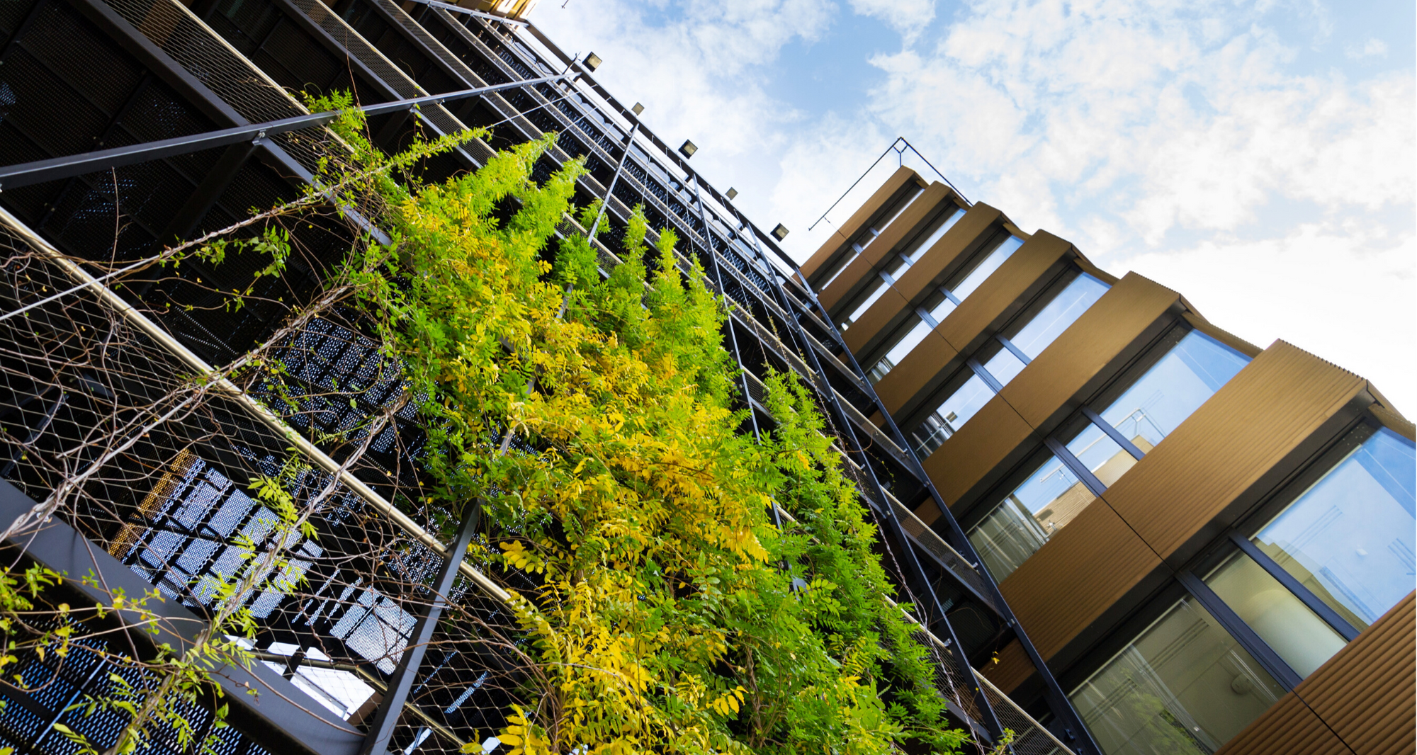 Sustainable Construction Practices Green Building